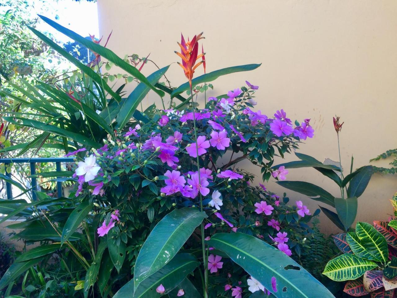 Bed and Breakfast Casa Igba Rio de Janeiro Zewnętrze zdjęcie
